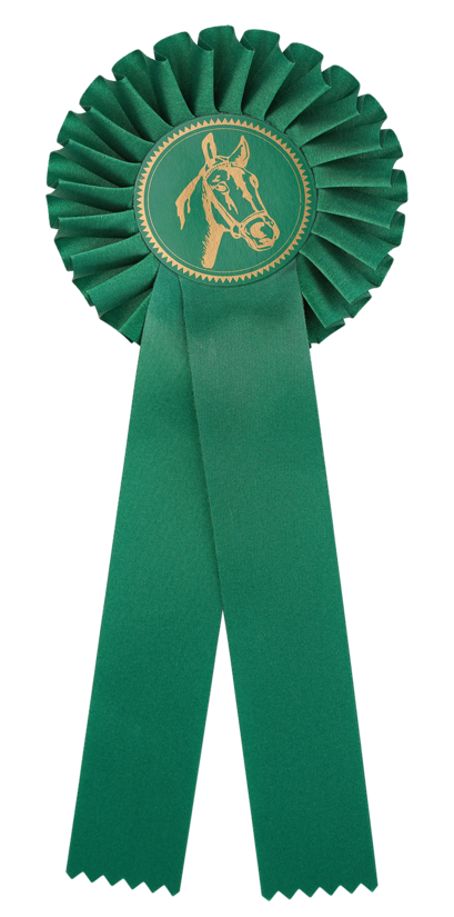 "Classic Green" – Zaļa satīna rozete jāšanas sacensībām